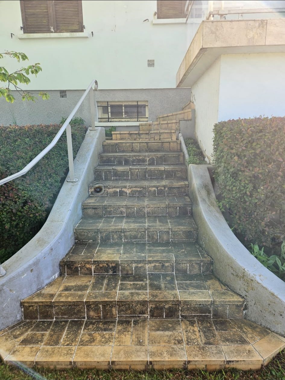 Avant : escalier extérieur carrelé, noirci et verdi.