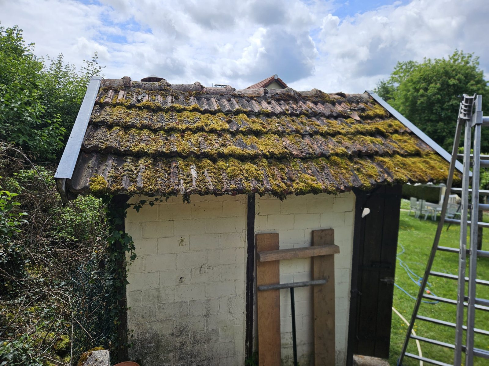 Avant : toit d'abri de jardin couvert d'une mousse épaisse, jaune et verte.